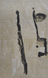 h6
